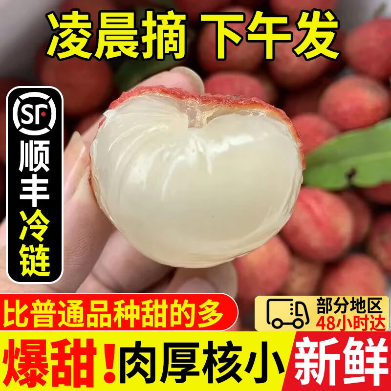 【现货现摘】茂名白糖罂荔枝高州新鲜应季水果批发送礼盒装整箱发