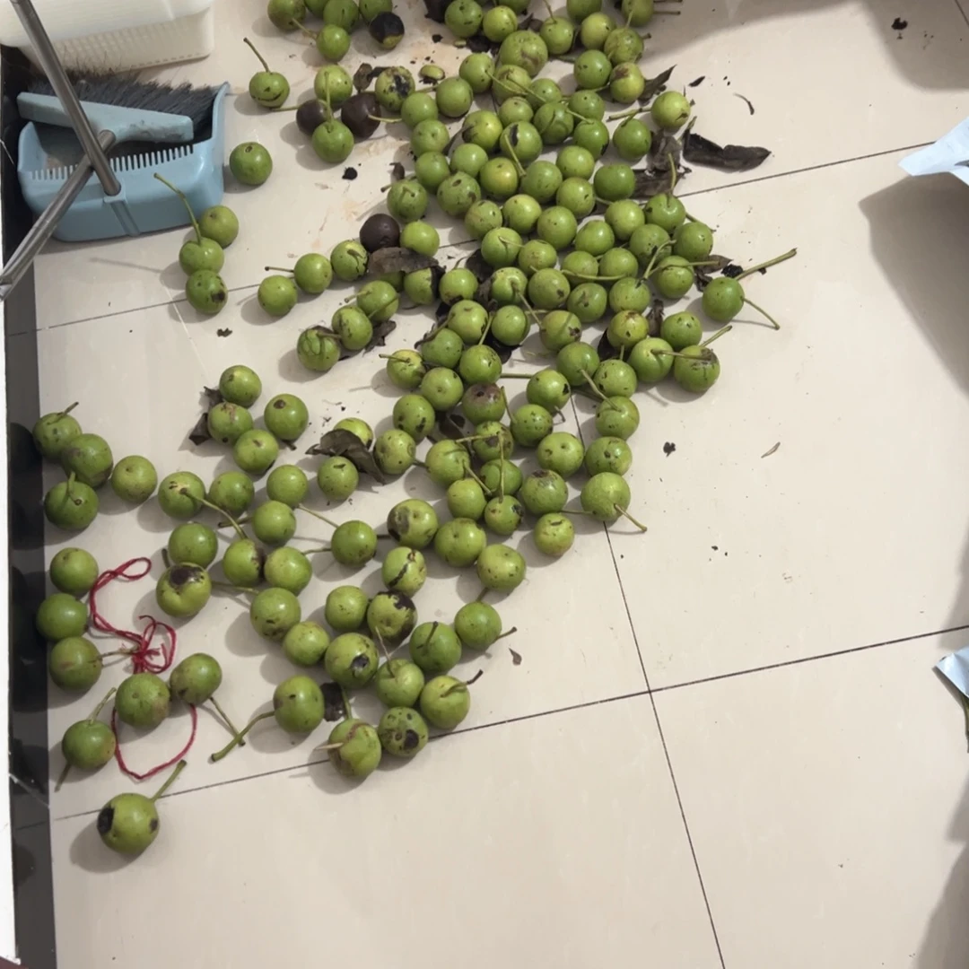 军***@文玩核桃吊坠血麒麟