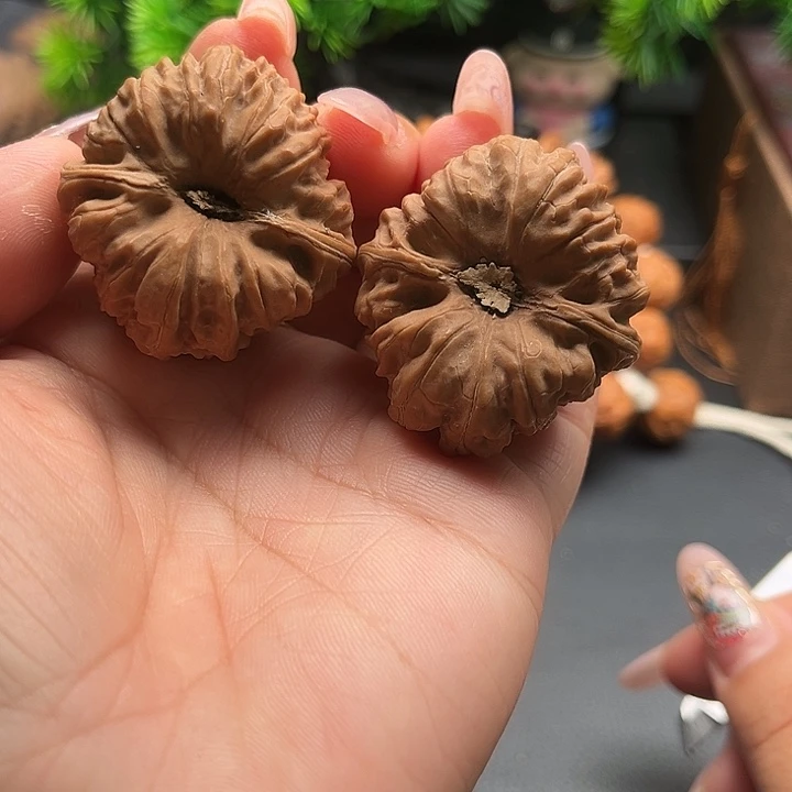 核桃37平谷凹底全品