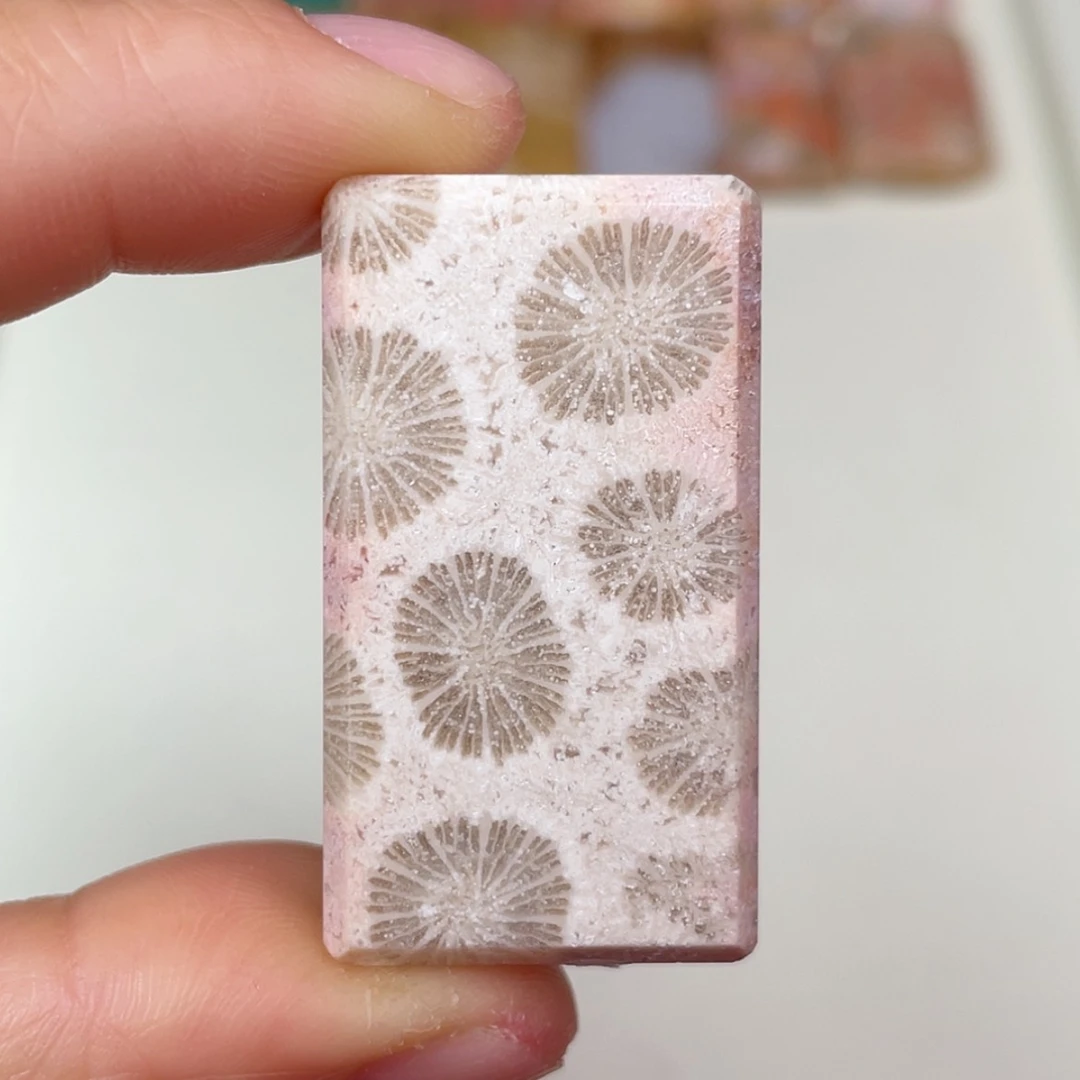 【闪购商品】未镶嵌吊坠(赠链)硅化玉