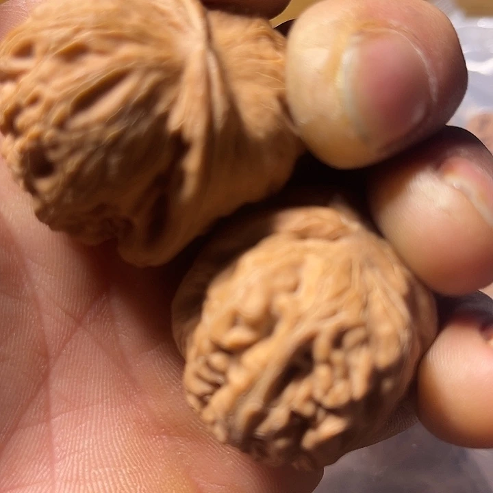 文玩核桃把件Fuli fuli duo