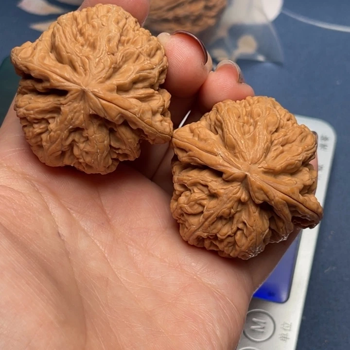 文玩核桃把件粗筋44