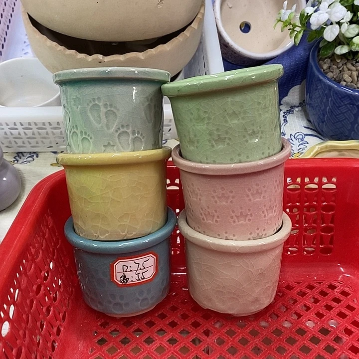 花盆抢购清货马上开始