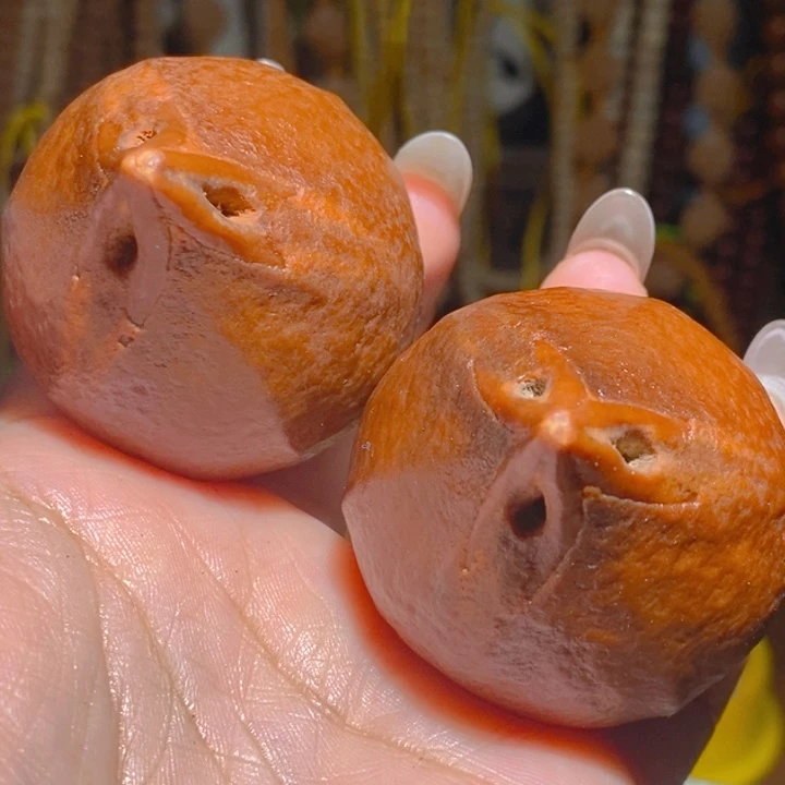 矮桩巨无霸红油大橄榄4467