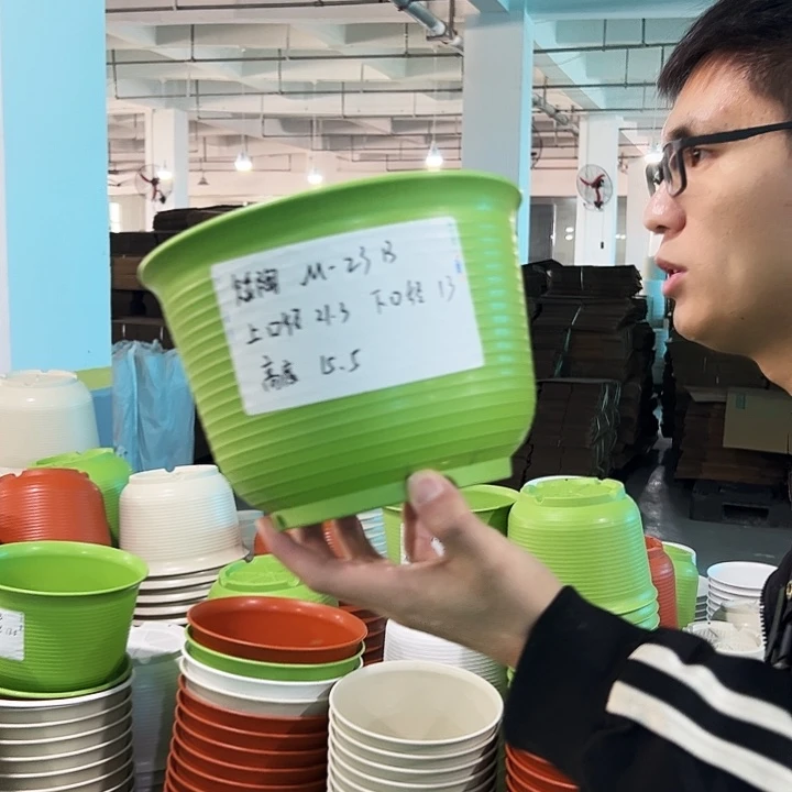 正品矮陶口21高15.5果绿带托8只