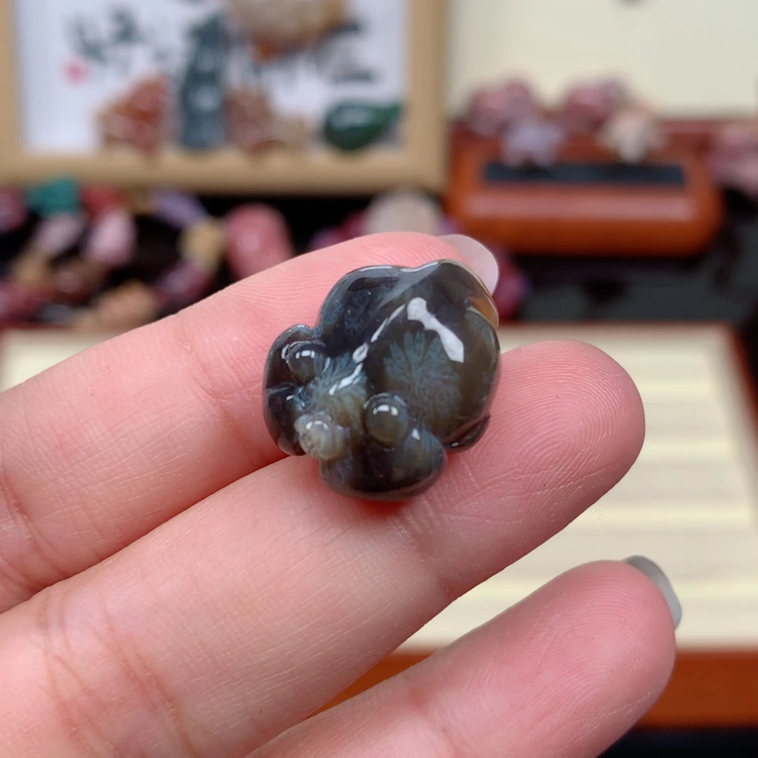 硅化玉珊瑚玉未镶嵌