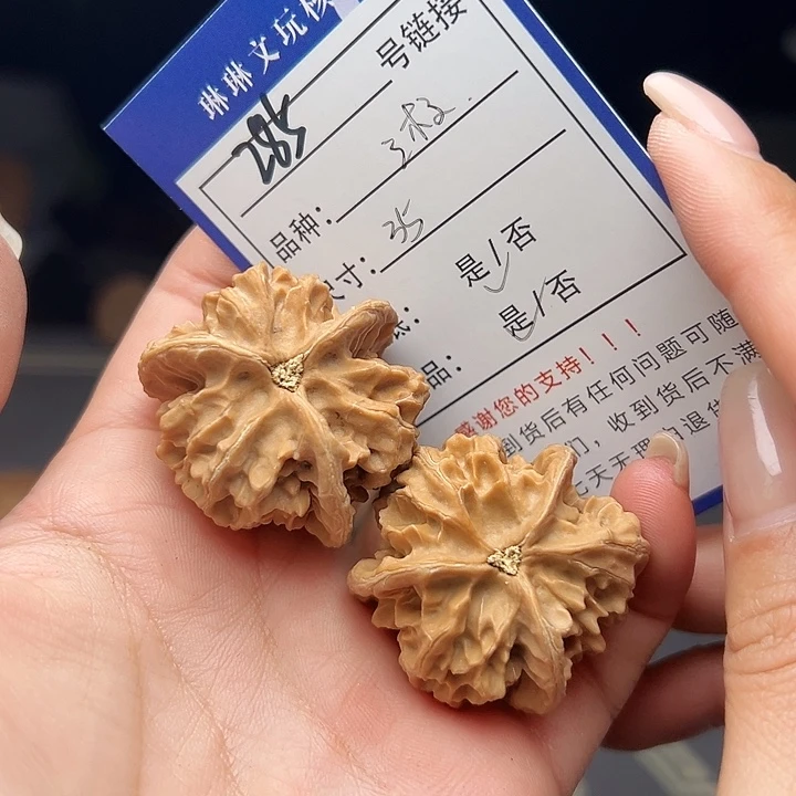 文玩核桃吊坠核桃树285