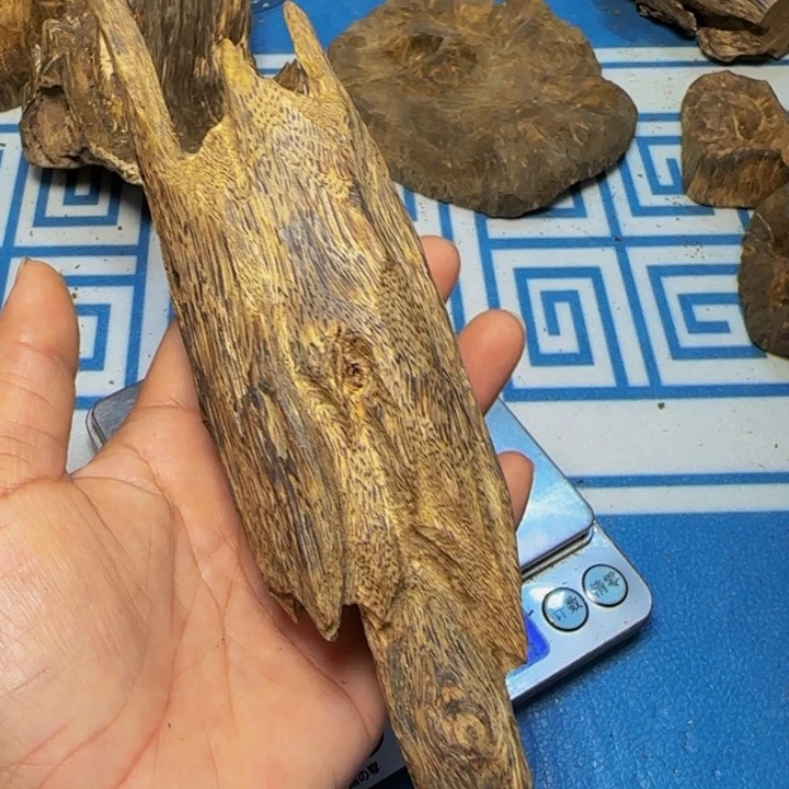 木海南绿奇陆河虫漏100克