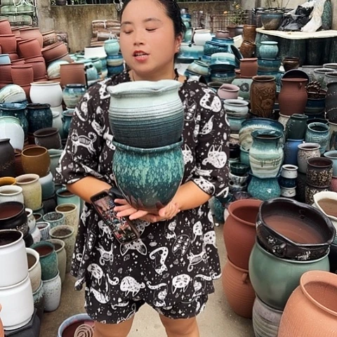 口19高19两个盆子。