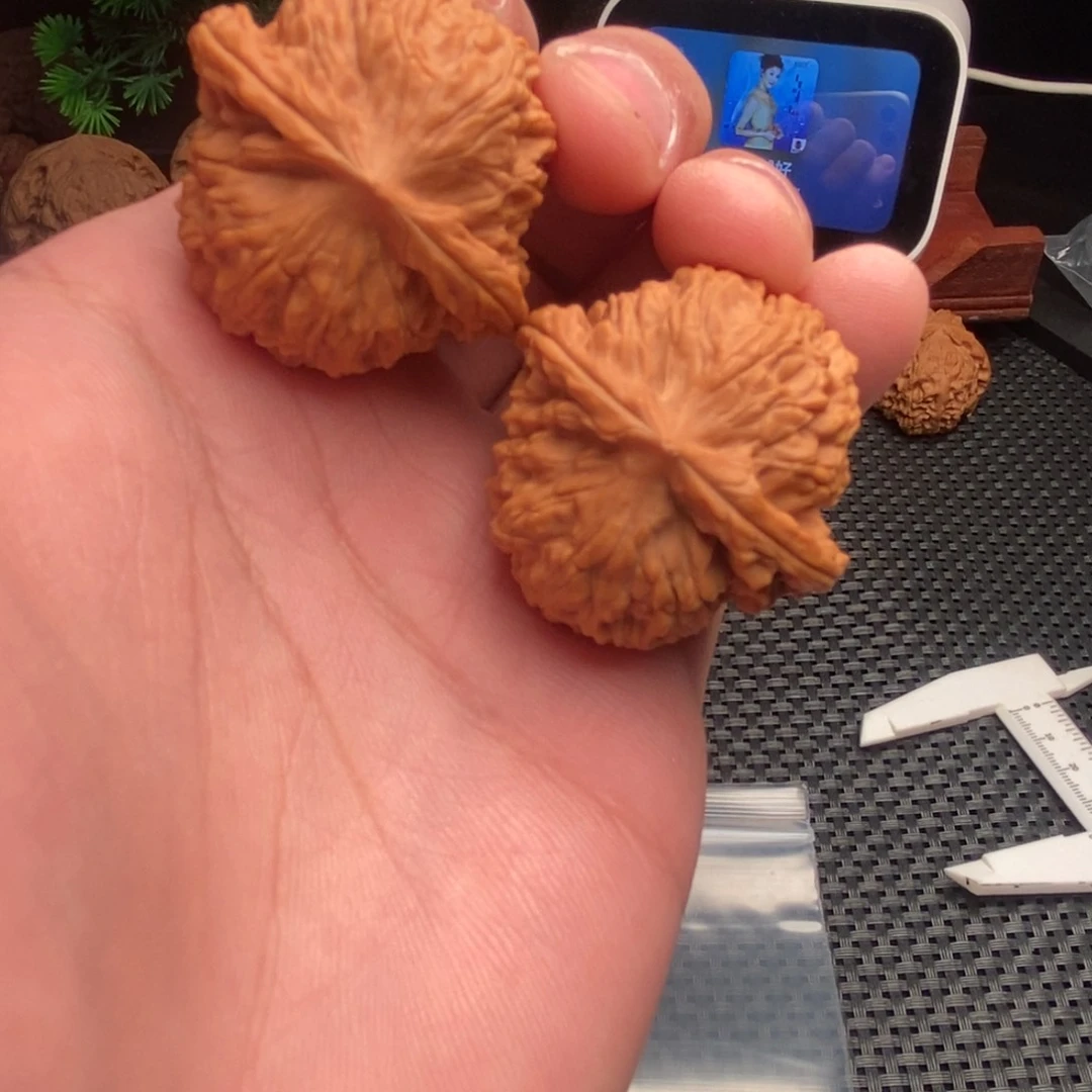 吊坠文玩核桃?****钟河豚