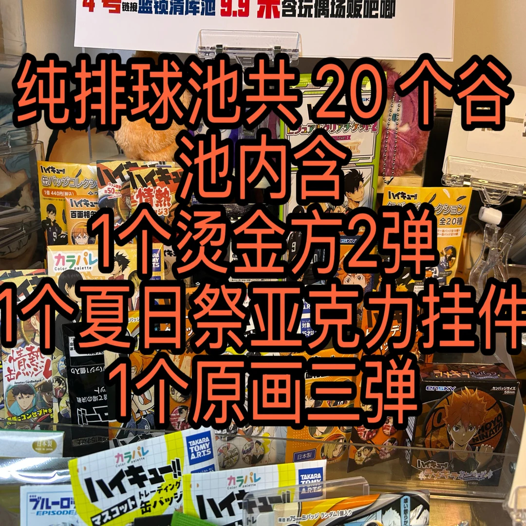 日谷9.9 纯排球池吧唧盲盒