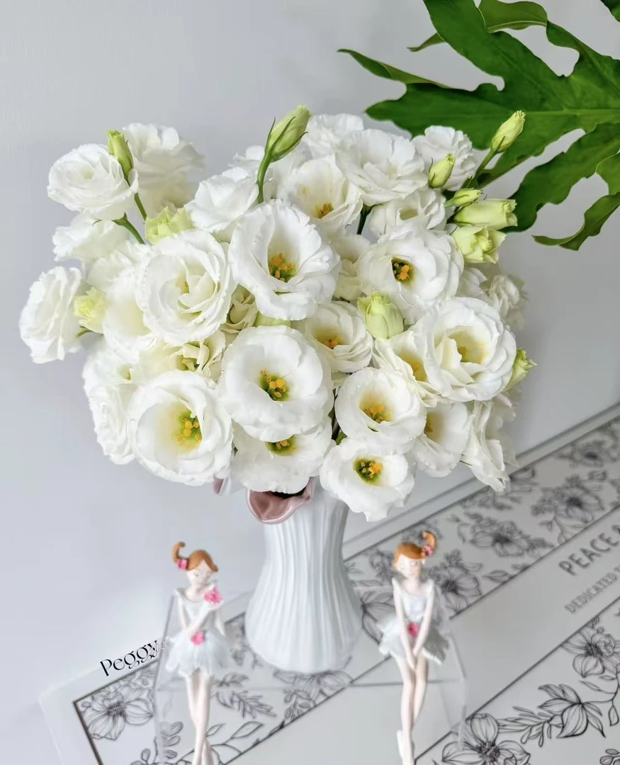 【葡噗专属】白色洋桔梗  1扎  云南基地直发