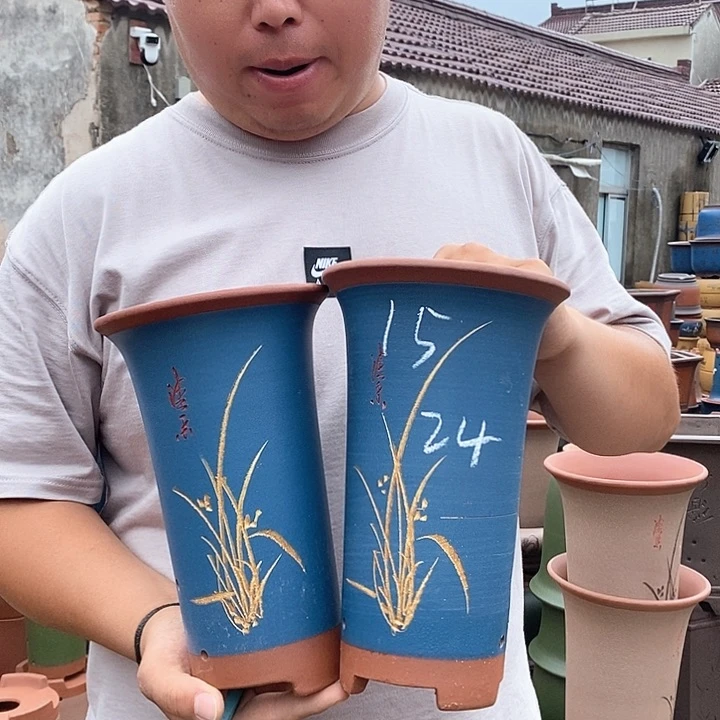 紫砂花盆盆栽观赏植物