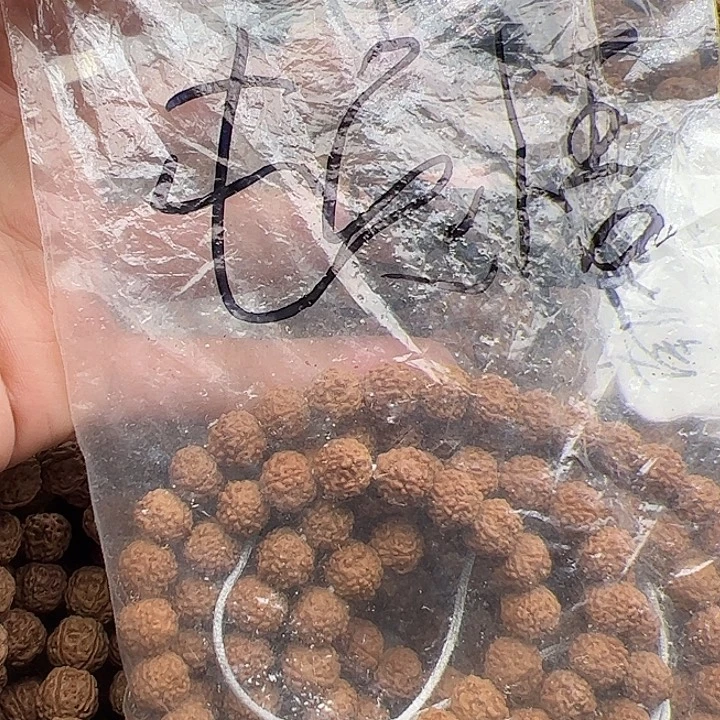 顿***悟手串金刚菩提谢谢