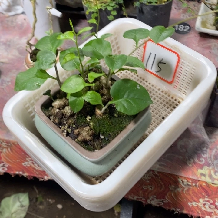 拾***漫以实际为准退款拉黑拉黑115