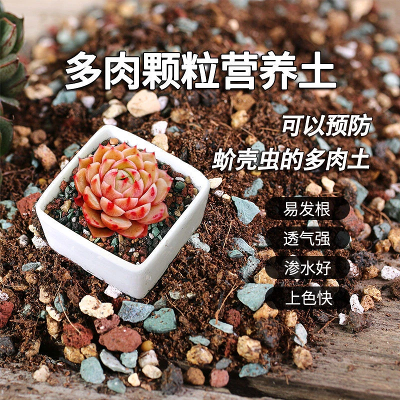 【山地玫瑰专用土】山地玫瑰多肉专用营养土营养土