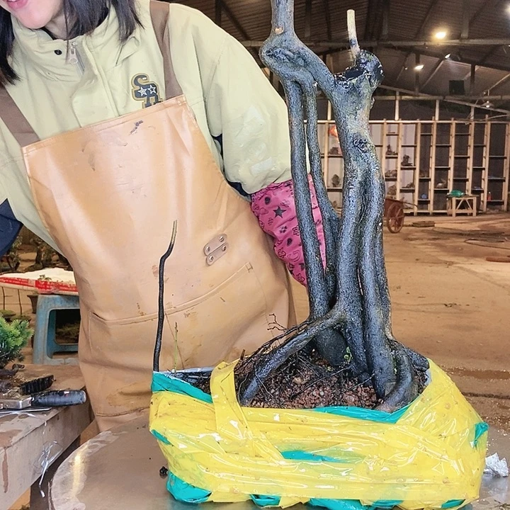 你的电话怎么一直关机呢你