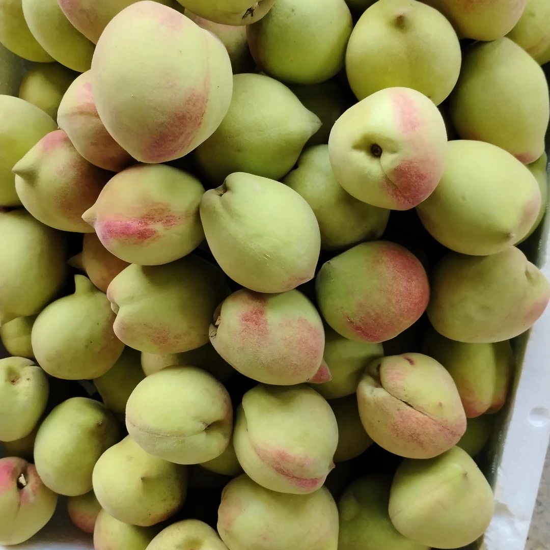 翁源九仙桃新鲜现摘脆甜树上熟当季水果