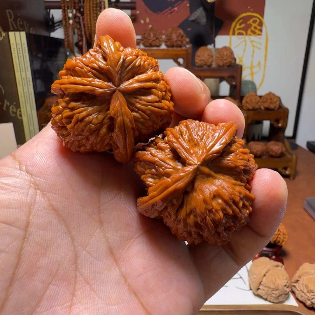 道哥俱乐部f白狮子异形