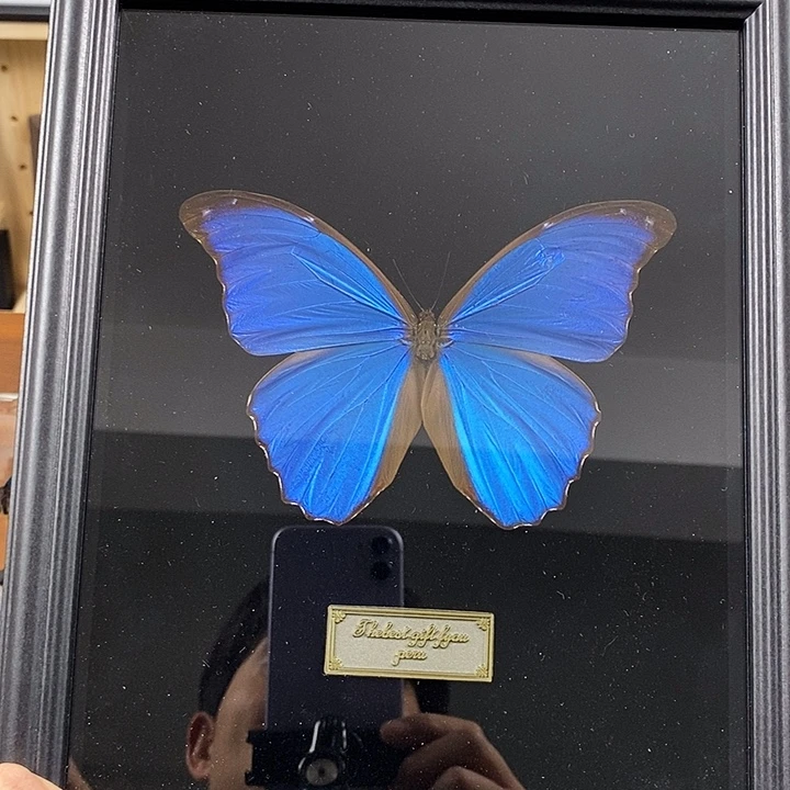 大理石磁石大蓝闪微瑕10寸框