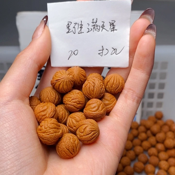 手串桃核13mm左右野生满天星20颗（打孔）