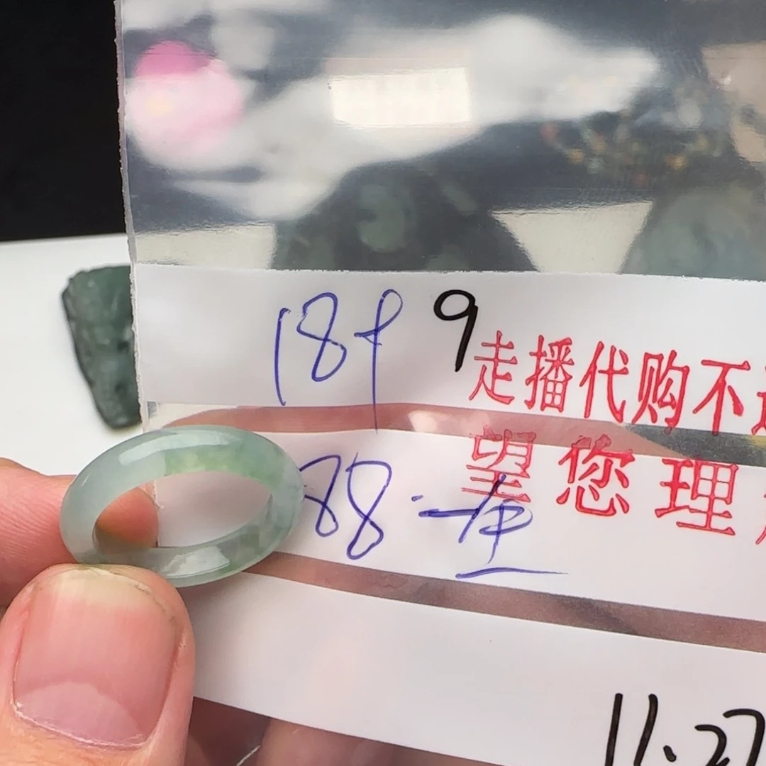 一***求翡翠未镶嵌颈饰翡翠