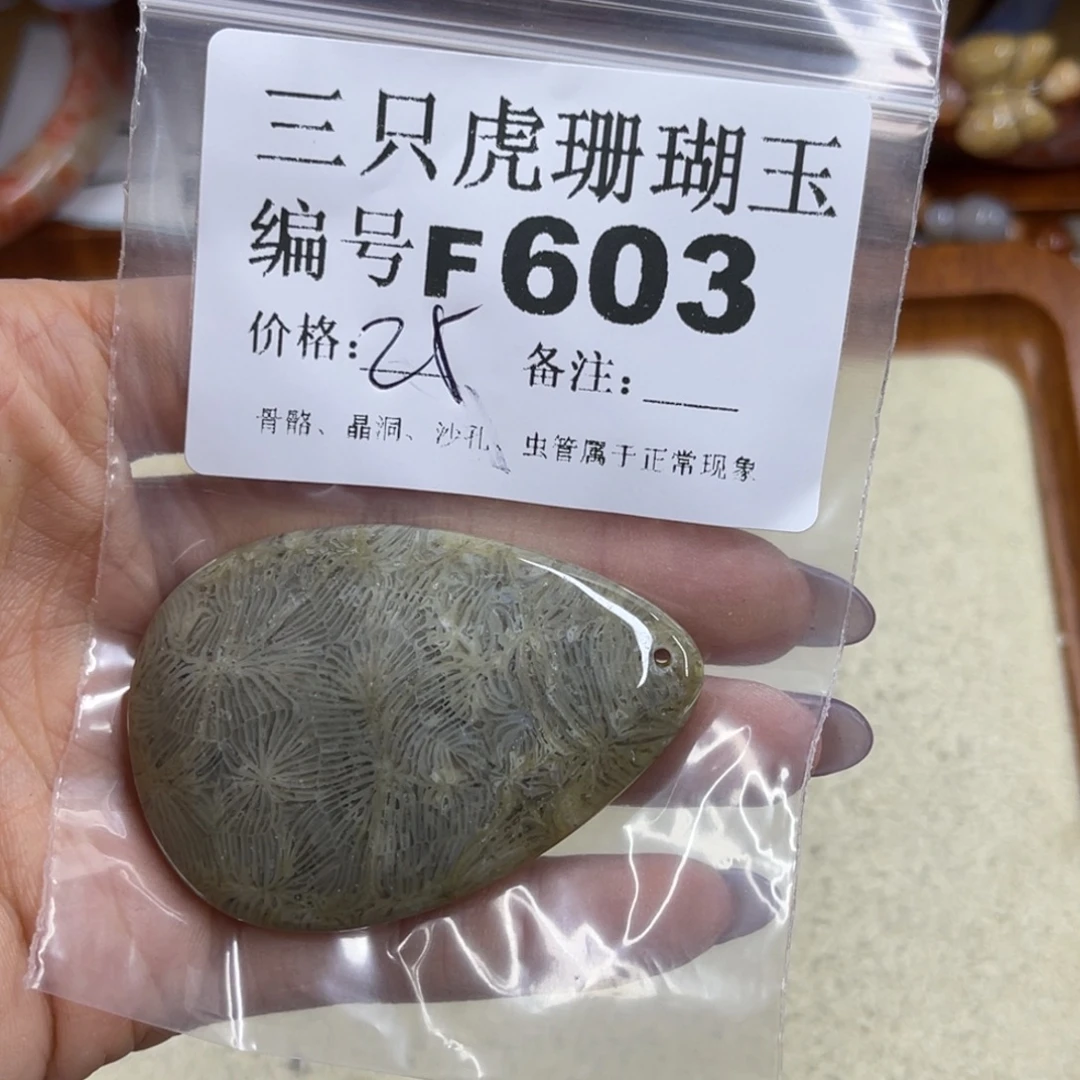T***y未镶嵌h硅化珊瑚（珊瑚玉）