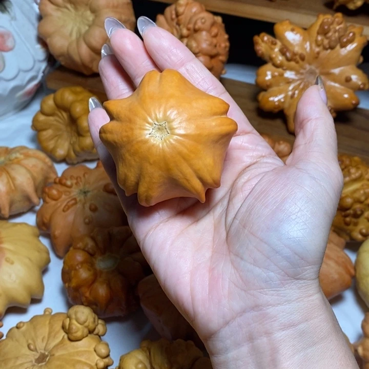 微瑕海星不退不换