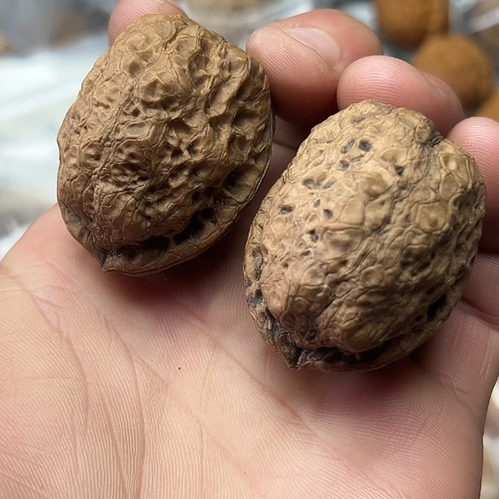 核桃43号卧龙37尺