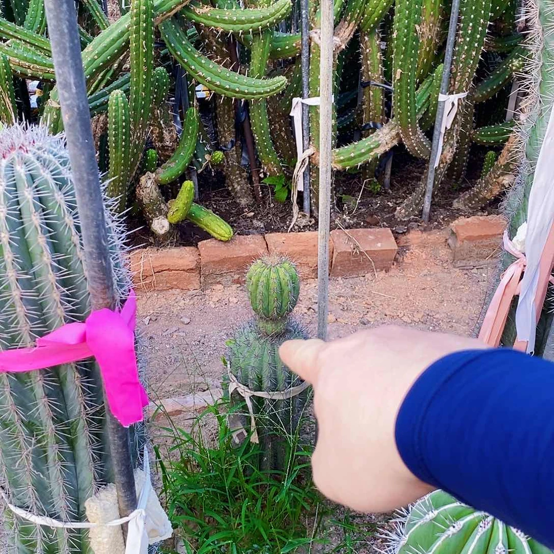 无花朵阿****）00000000000000000000