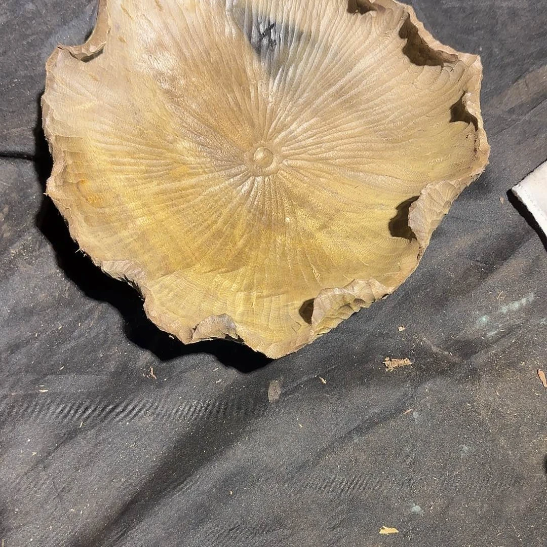 金丝楠金丝楠木果盘