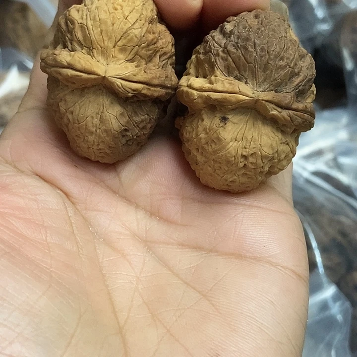 文玩核桃把件云南铁核桃基地1