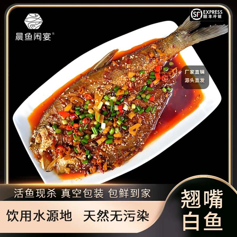 晨鱼闹宴【半条】翘嘴白鱼新鲜活鱼现杀速冻白鱼三去清蒸红烧易烹饪