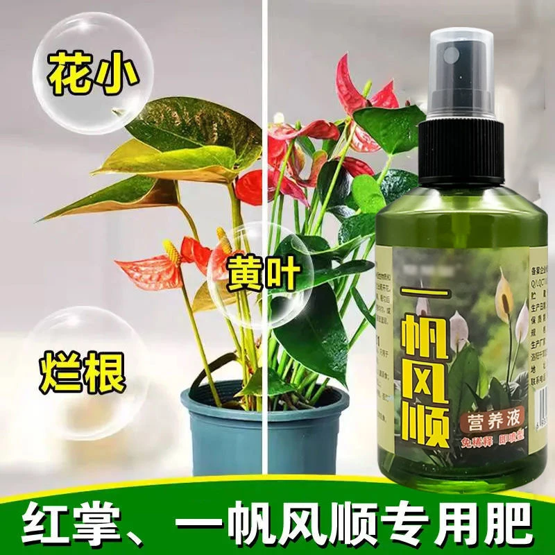 红掌专用肥家用催苞保花防冶黄叶烂根开花一帆风顺缓释肥营养液-