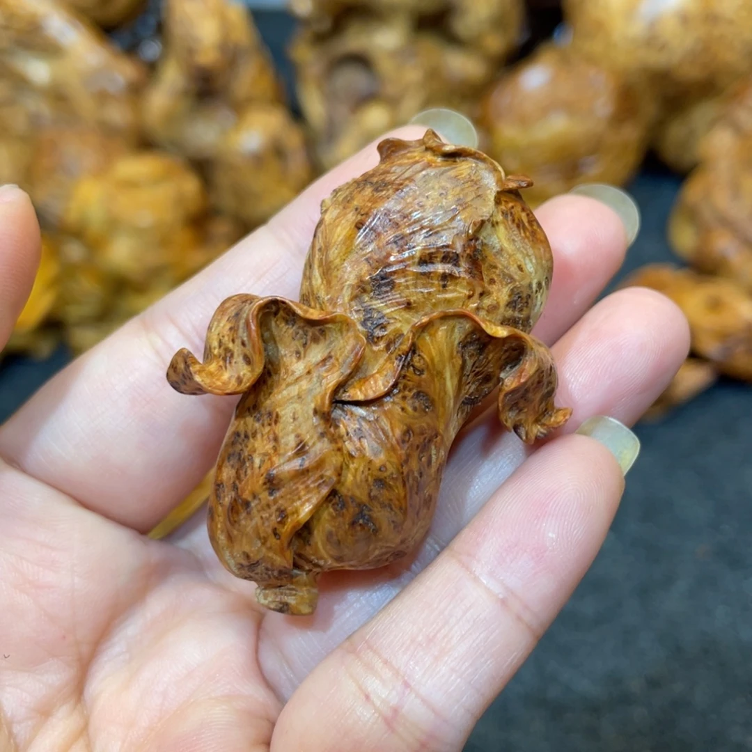 柏木（崖柏）太行精品陈化蚂蚁腿白菜