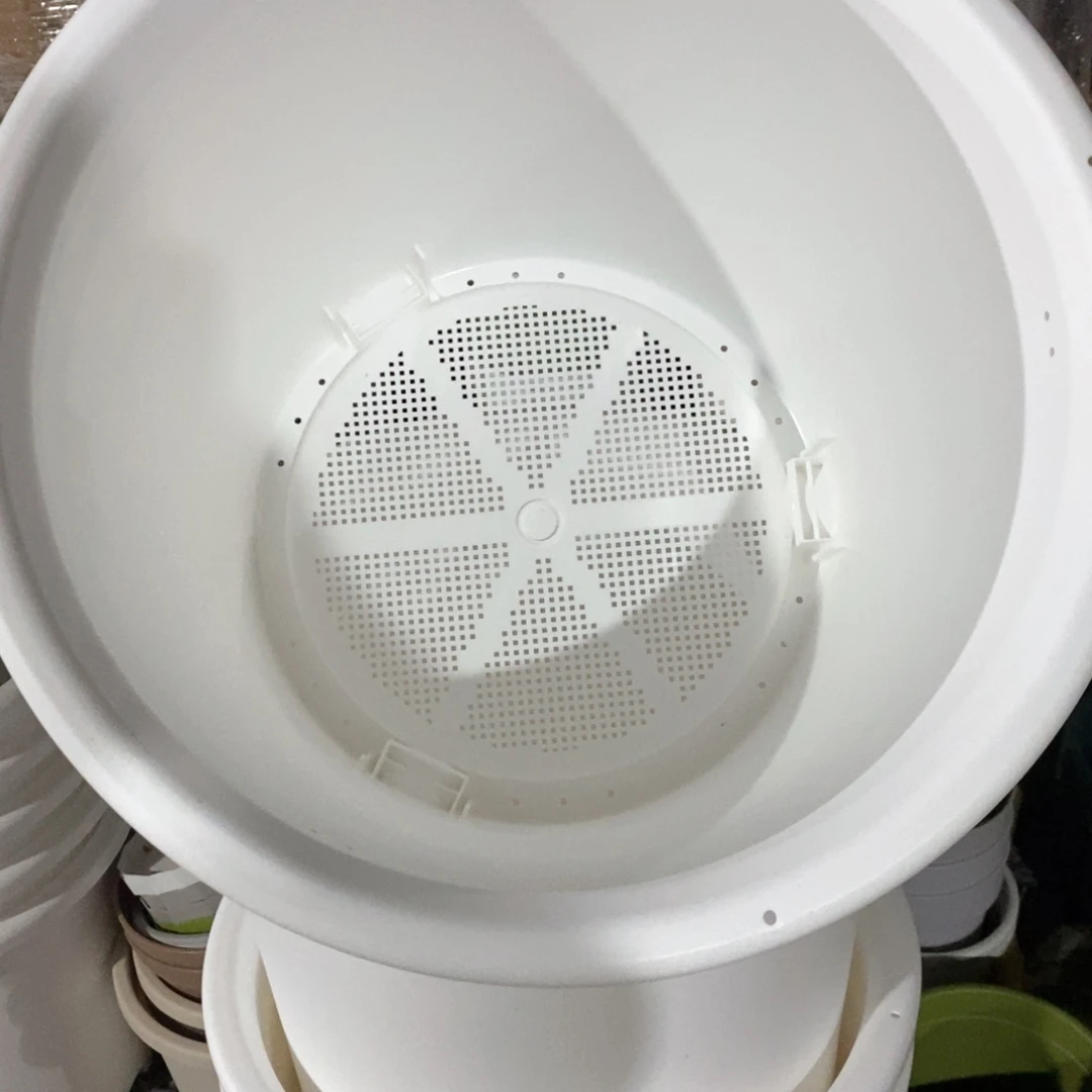 3个爱丽丝14号（46.5×40.2）白色无托