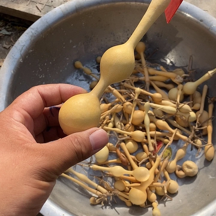 小***哥手把精品文玩葫芦