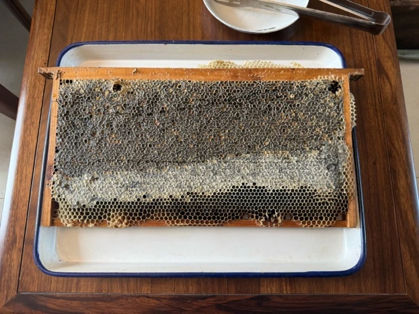 一年就这一次没多少张巢蜜（粉丝福利）数量不多