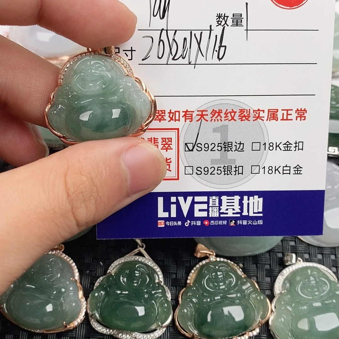 翡翠银S925镶嵌颈饰