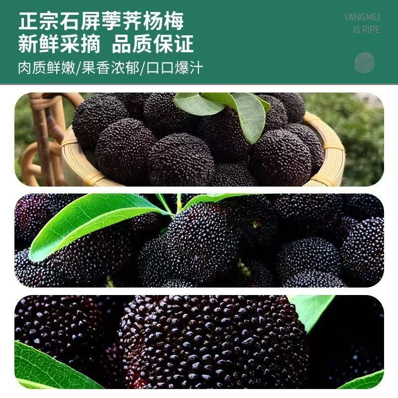正宗云南荸荠杨梅新鲜当季时令孕妇水果颗粒礼盒包装京东空运直发