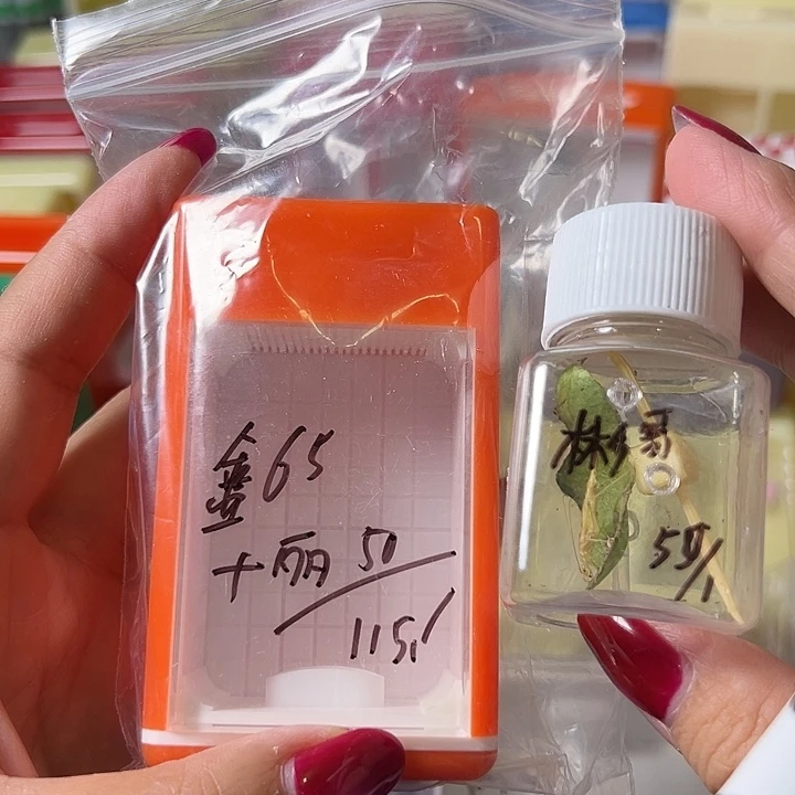 彬***哥蟋蟀哈哈哈哈哈哈哈哈哈哈