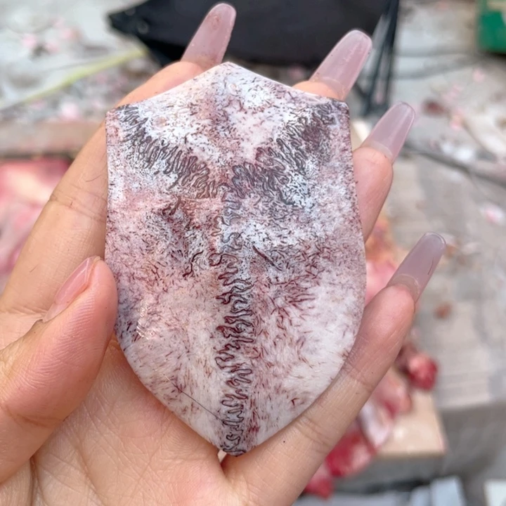 菜***羊养殖鹿骨三界牌子