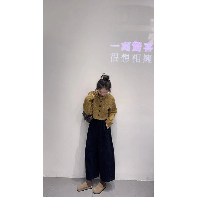 2025秋冬设计感小众洋气休闲百搭针织毛衣上衣高腰宽松显瘦直筒裤