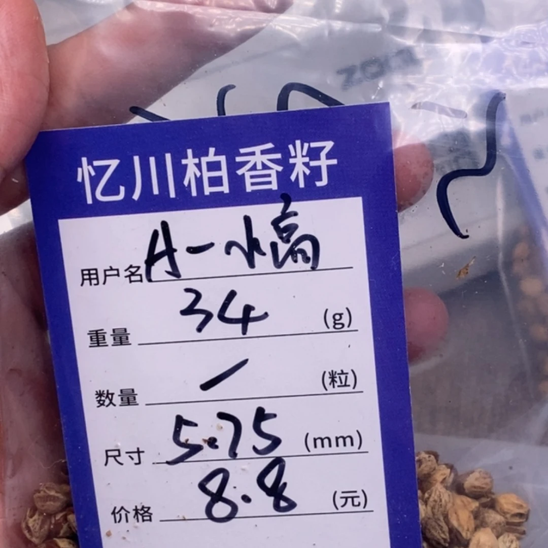 柏香籽/百香籽吊坠A****]