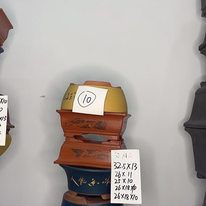 10一家漏家漏极乐世界