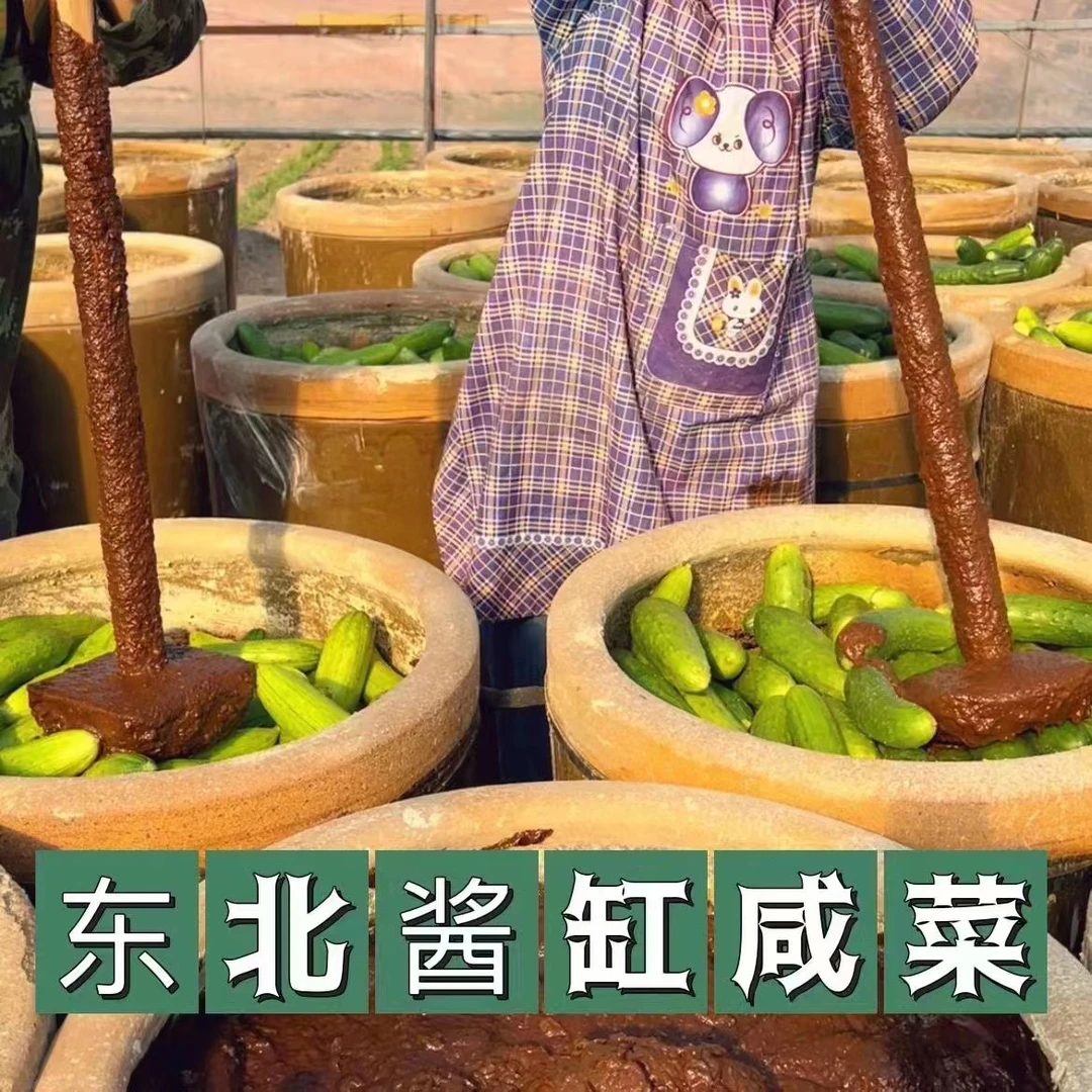 东北酱缸黄瓜咸菜