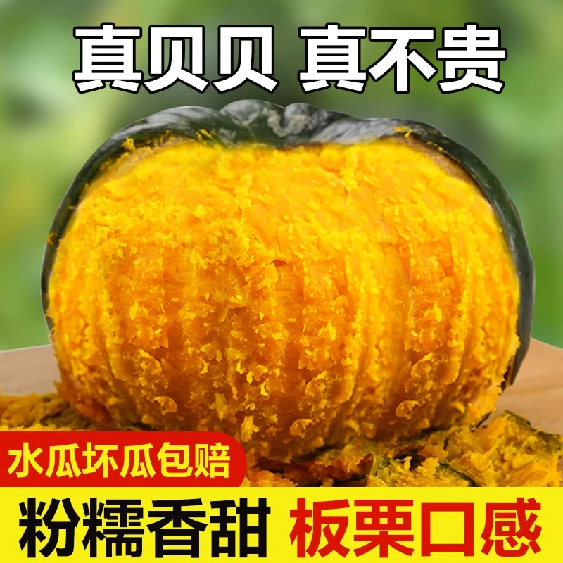 贝贝南瓜4.5斤新鲜蔬菜宝宝辅食粉糯香面板栗味正宗沙漠小南瓜甜
