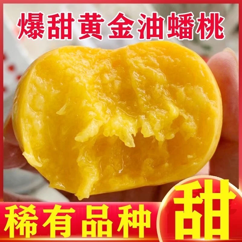 【黄蟠桃彩虹蟠桃新鲜采摘刚刚到家】【次日达】山东省