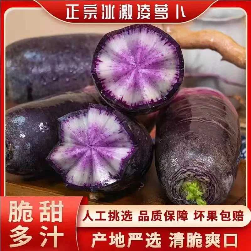 （西施专属）正宗潍坊冰淇淋水果萝卜脆甜多汁冰糖心生吃水果萝卜