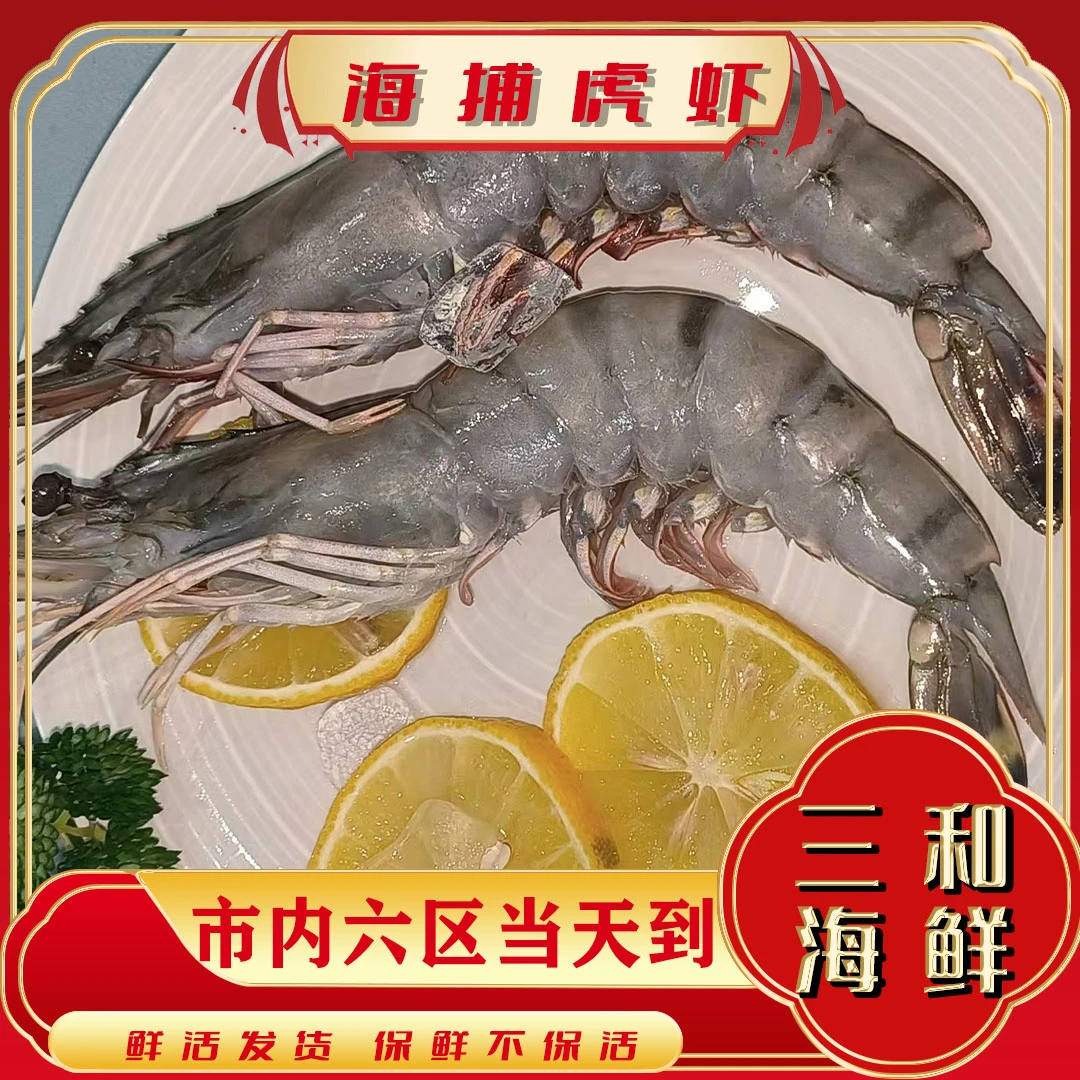 【海捕虎虾】海捕虎虾 天津三和海鲜 海产品 同城当日达